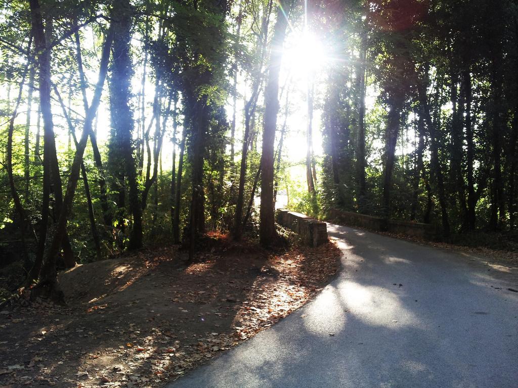 Casa Rural Can Miquel - En Pleno Bosque Y Cerca De La Playa - Increibles Rutas Btt Santa Coloma De Farners Exteriör bild