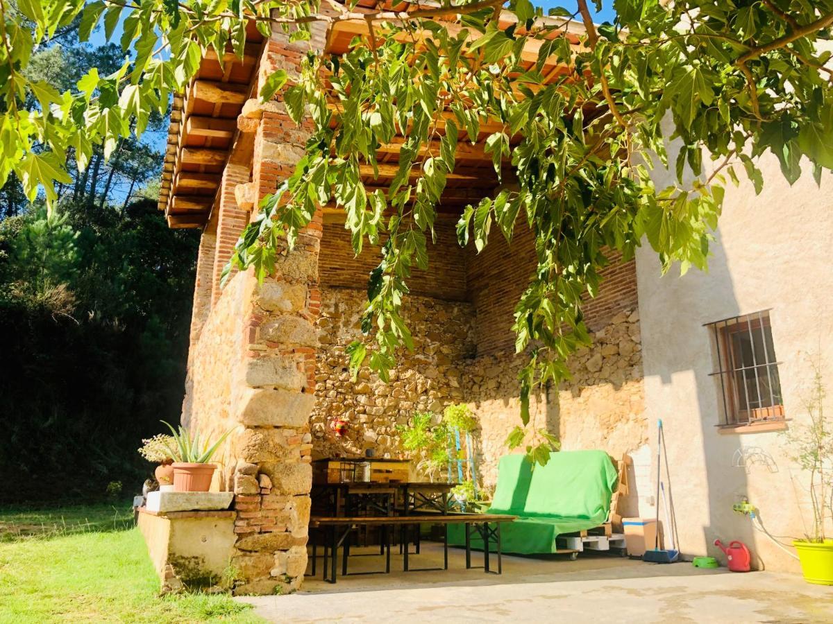 Casa Rural Can Miquel - En Pleno Bosque Y Cerca De La Playa - Increibles Rutas Btt Santa Coloma De Farners Exteriör bild
